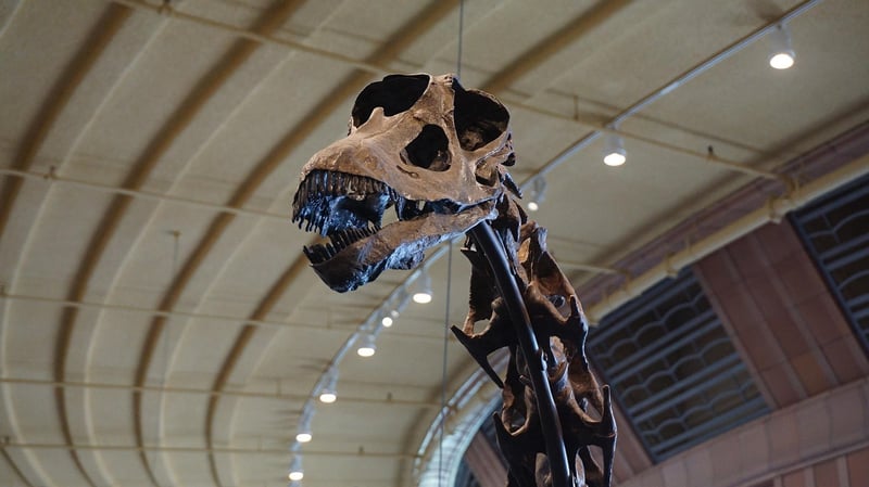 Dinosaurs era